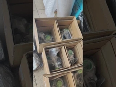 2006- Toyota LandCruiser CT16V Turbo 17201-0L040 Turbo Turbocharger Engine Replacement Original / Su